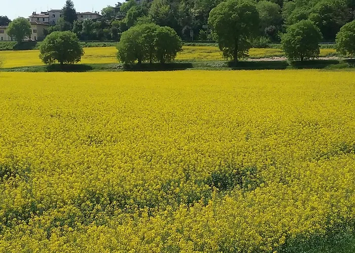 Simona كاستلْنْيوفو ديل غارد